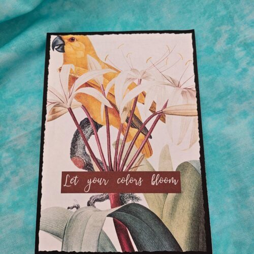 Let Your Colors Bloom