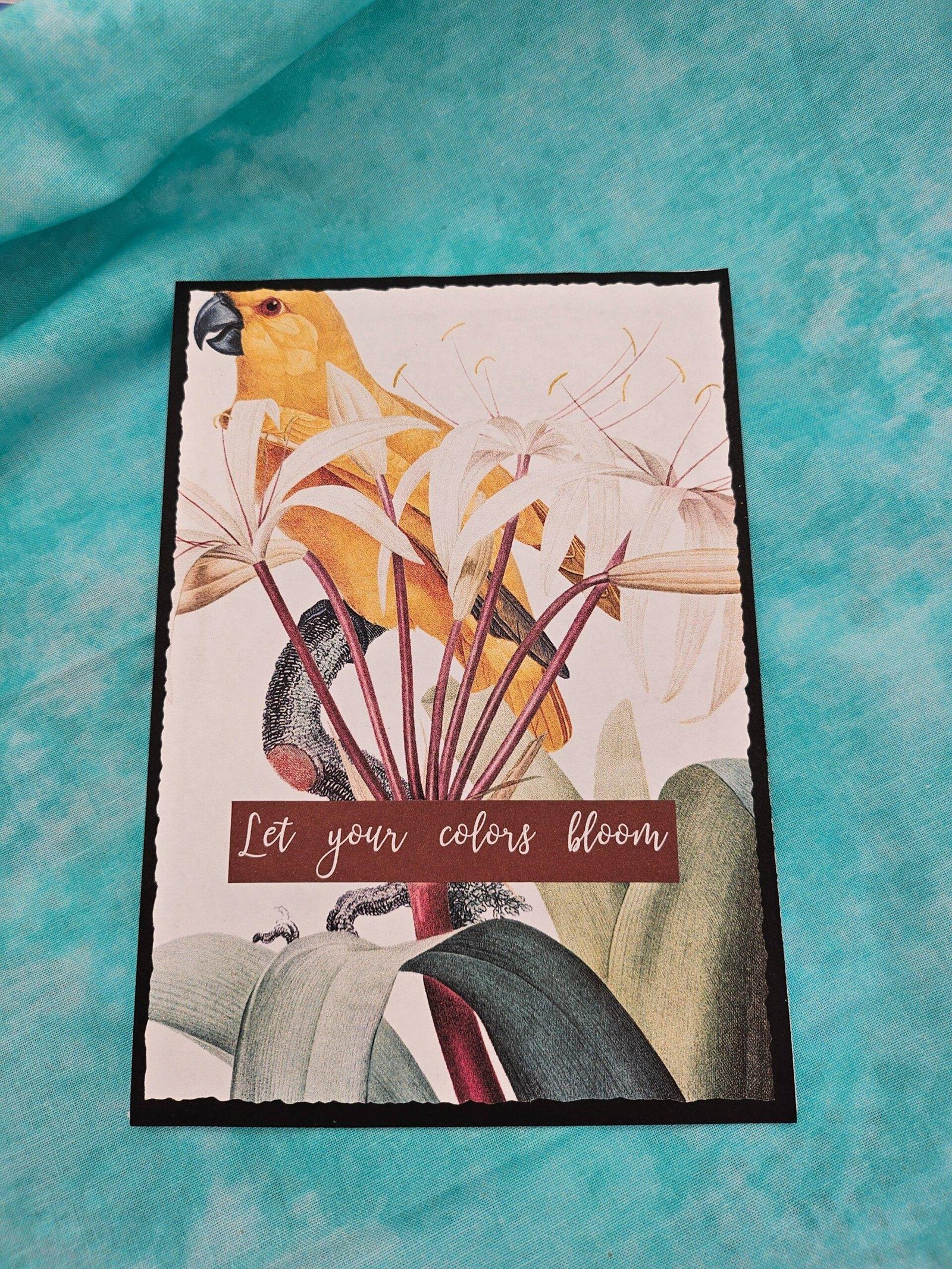 Let Your Colors Bloom