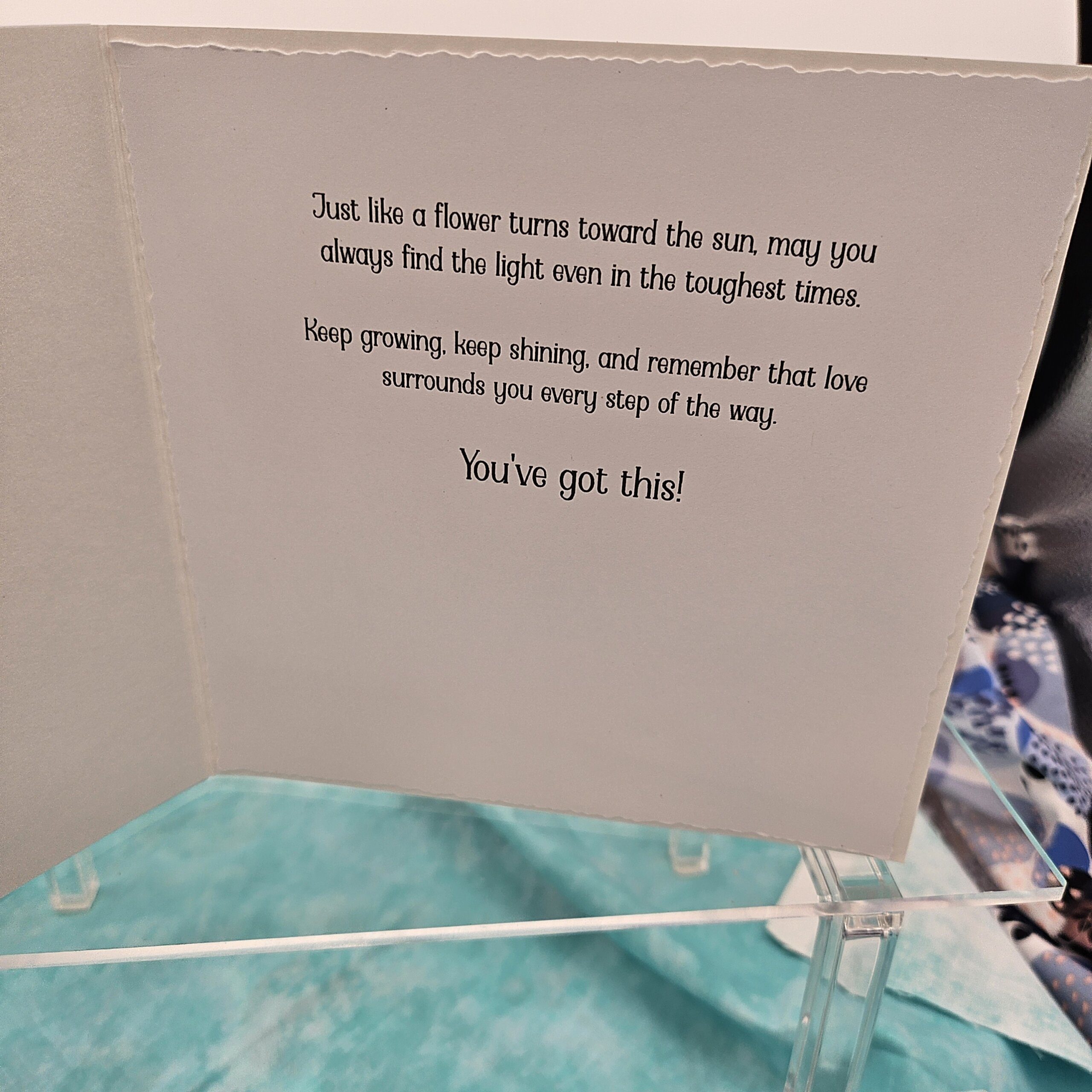 Faith in Bloom - Image 2