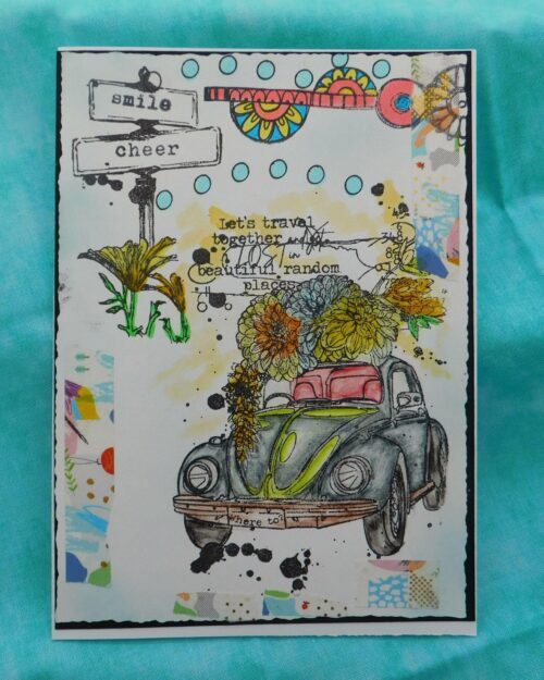 tribe series find my tribe set 43 & 44