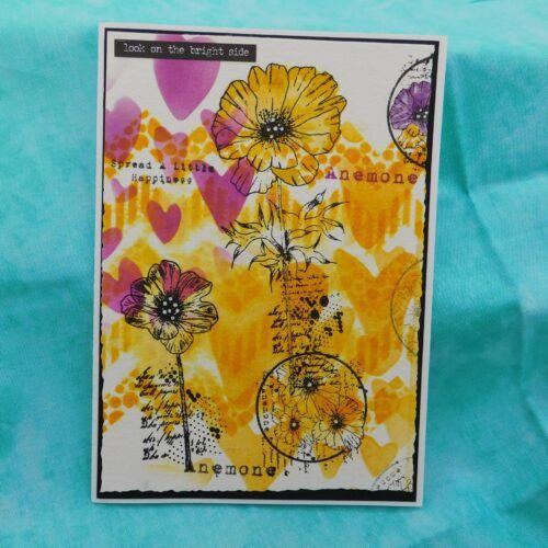 tribe series find my tribe set 43 & 44