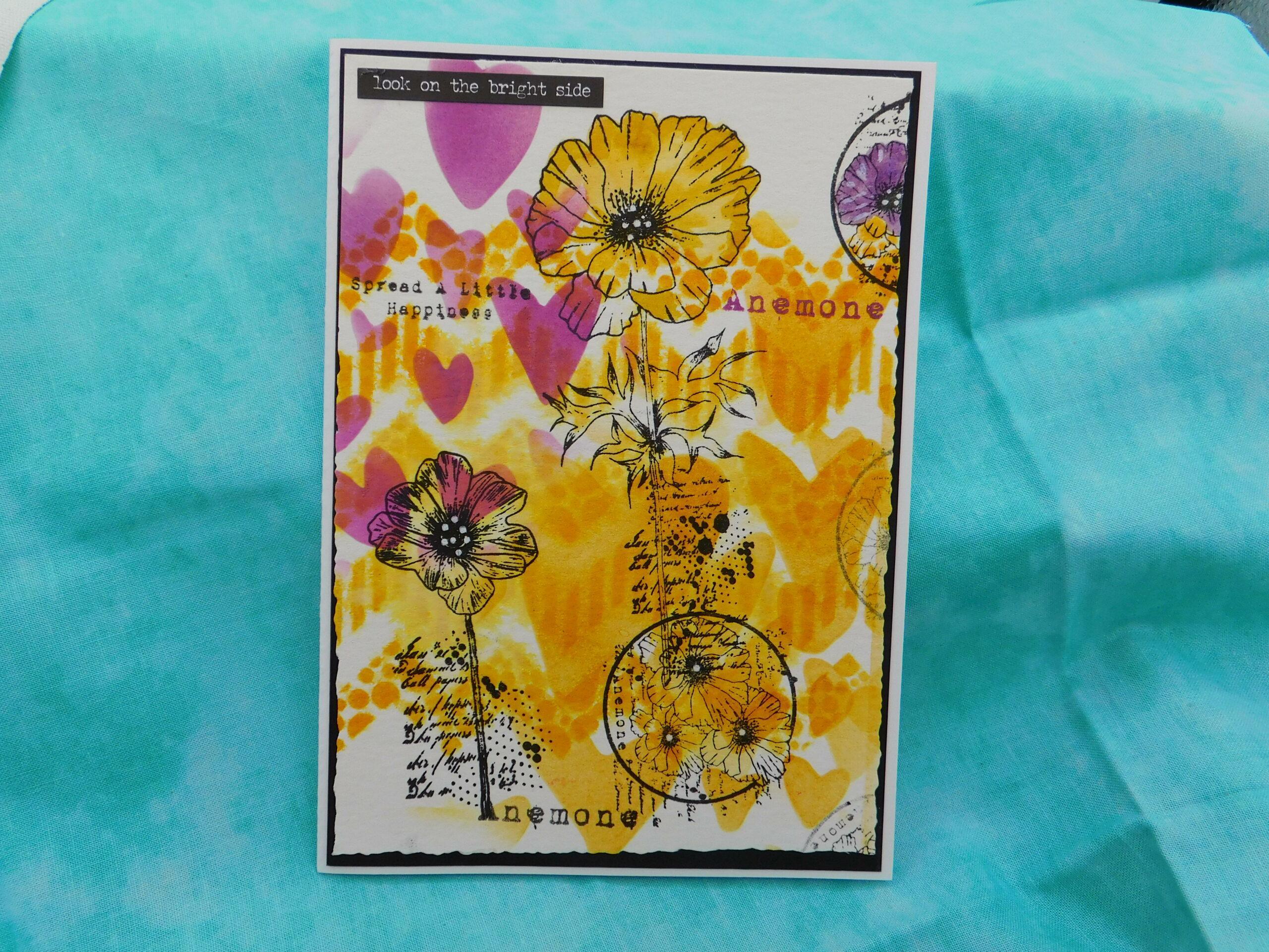 tribe series find my tribe set 43 & 44