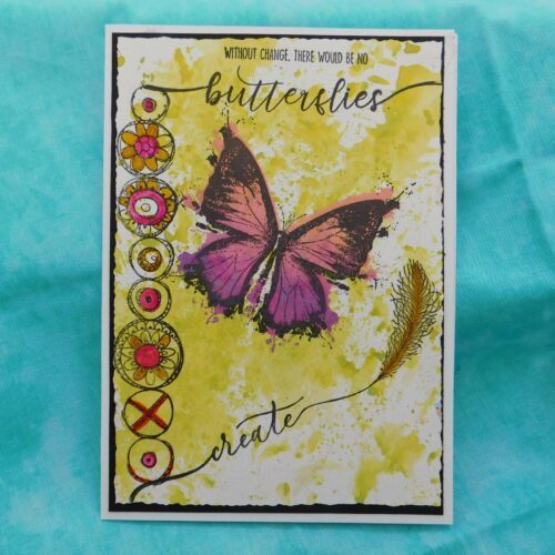 tribe series find my tribe set 43 & 44