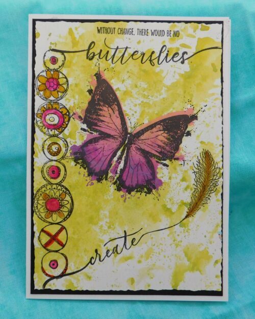 tribe series find my tribe set 43 & 44