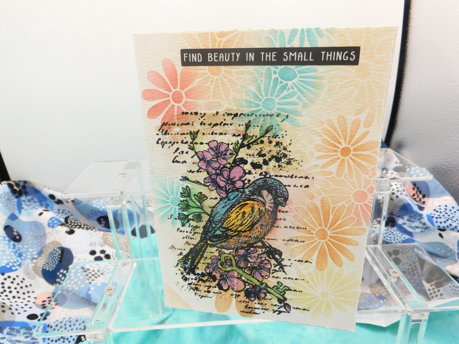 Find Beauty Bird Birthday Card