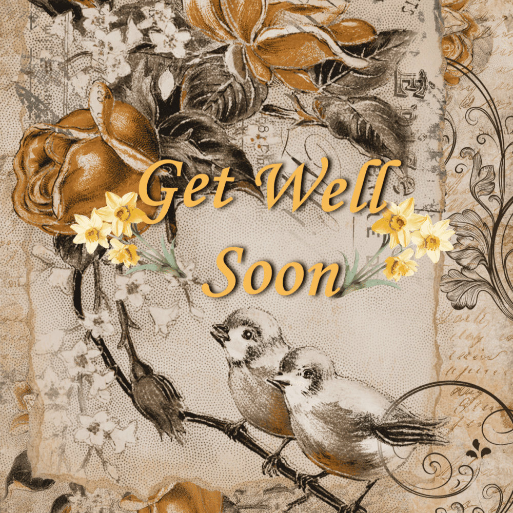 Birds - Get Well Soon Greeting Card