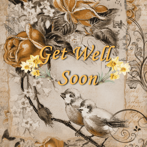 Birds - Get Well Soon Greeting Card