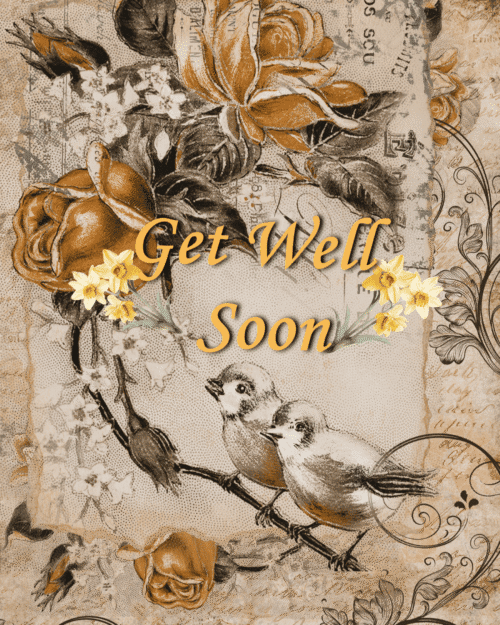 Birds - Get Well Soon Greeting Card