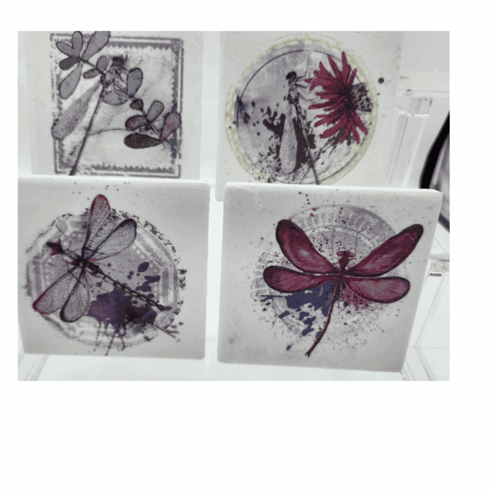 Coasters Dragonfly