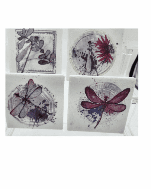 Coasters Dragonfly