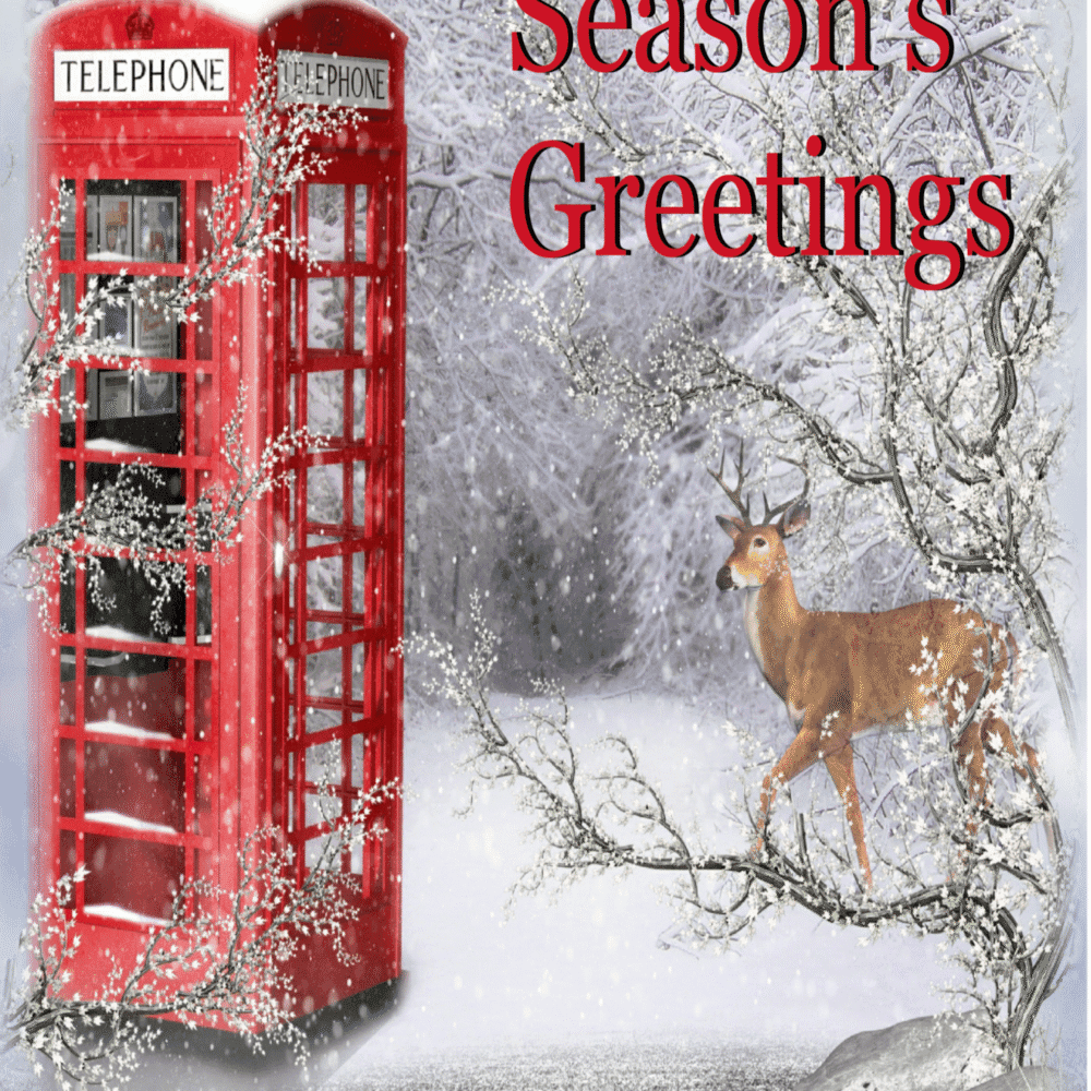Seasons Greetings Snowy Card Set