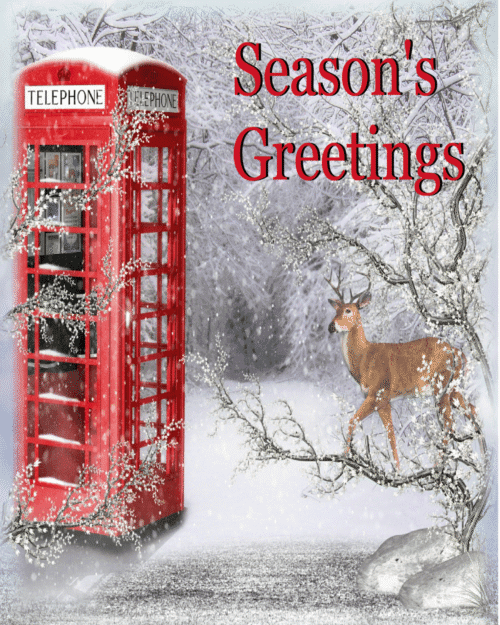 Seasons Greetings Snowy Card Set