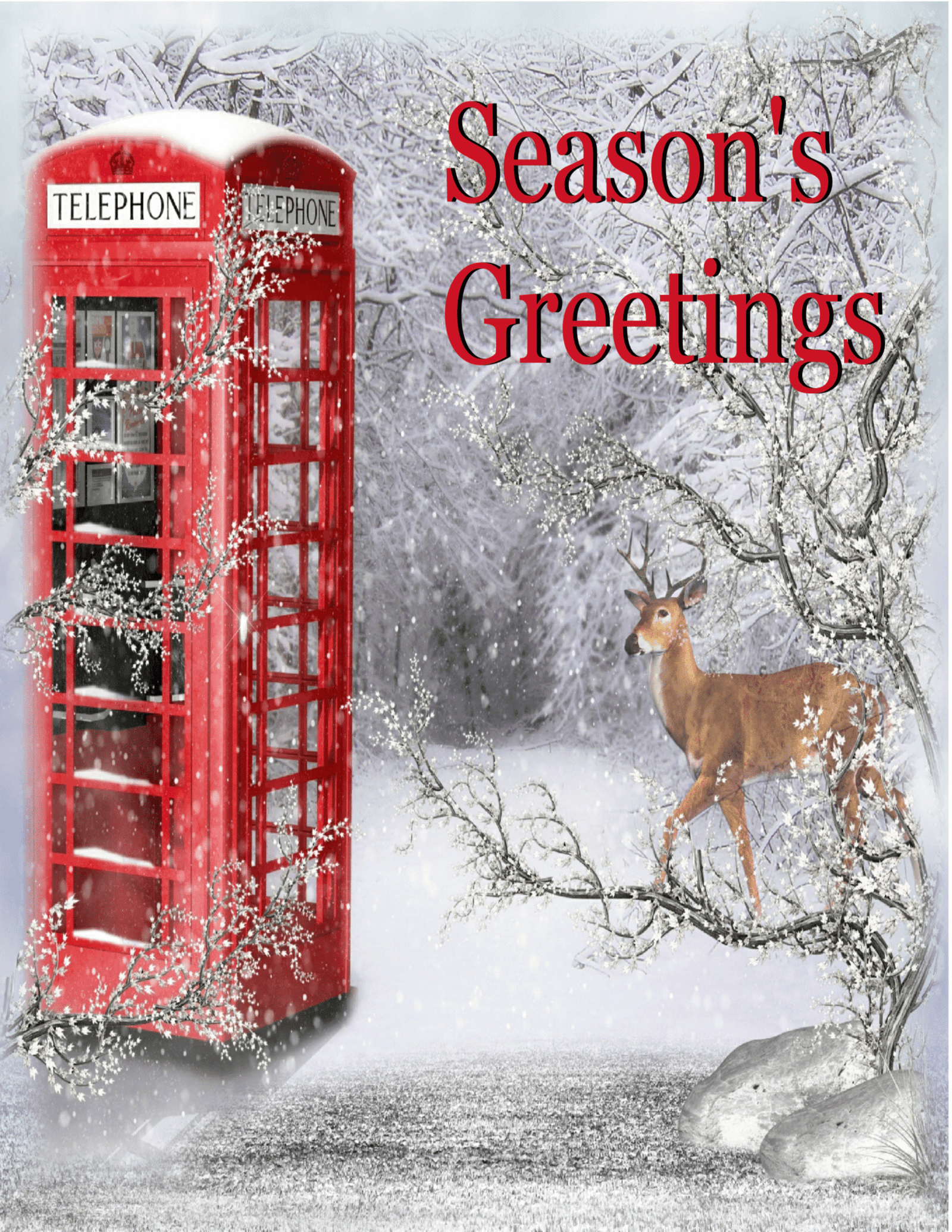 Seasons Greetings Snowy Card Set